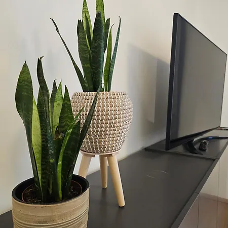 Appartement High Class - Design - Favorite Place - Full Equipment - Public Transport *